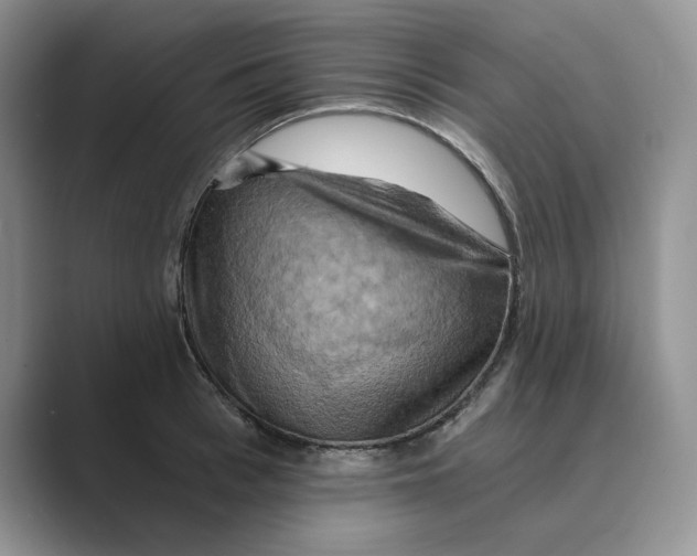 X0000088860993200707061047