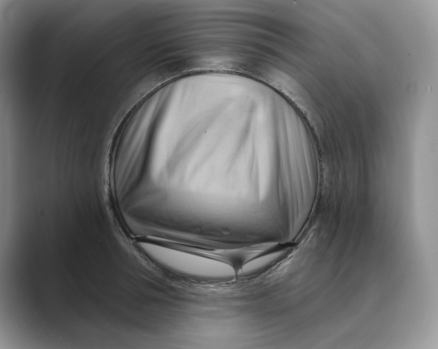 X0000088860994200707061047