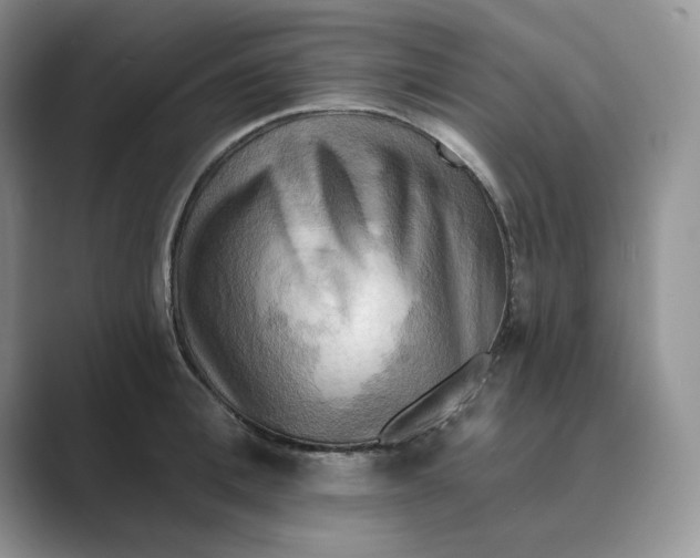 X0000088860996200707061047