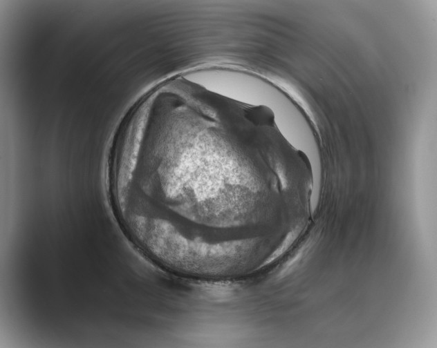 X0000088860999200707061047