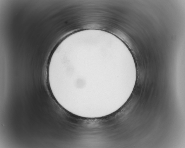 X0000088861000200707061047