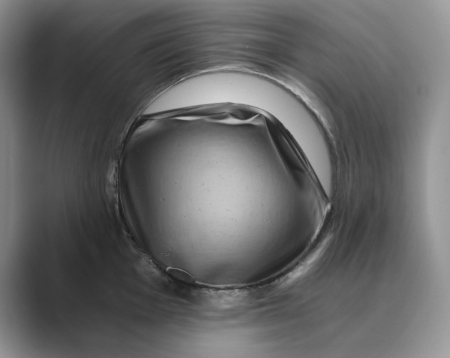 X0000088861001200707061047