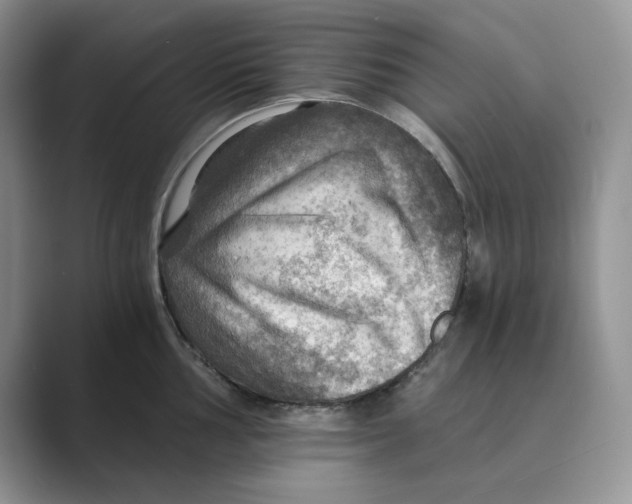 X0000088861002200707061047