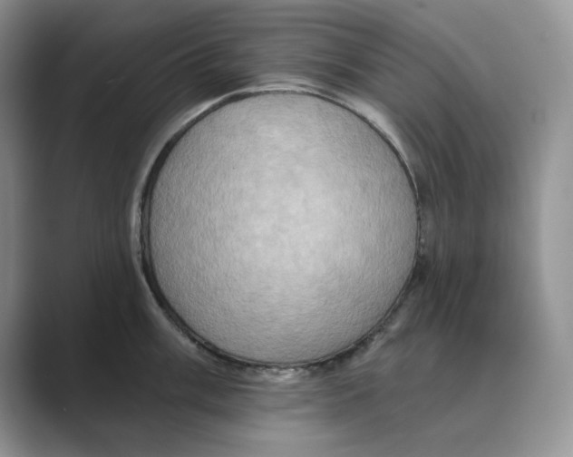 X0000088861003200707061047