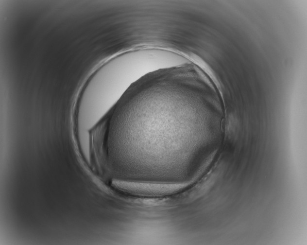 X0000088861005200707061047