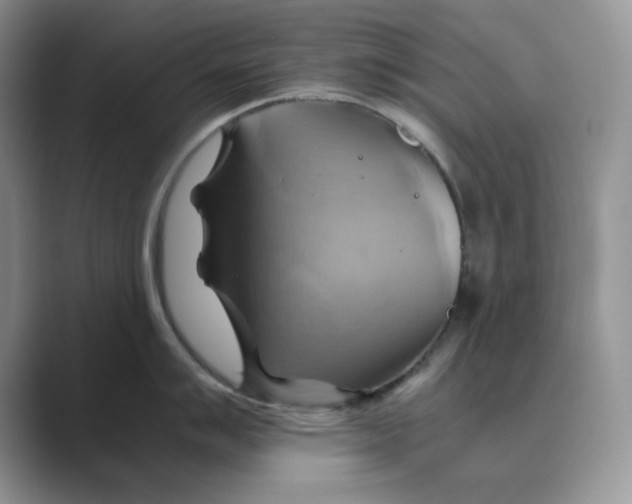 X0000088861007200707061047