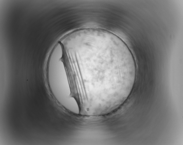 X0000088861008200707061047