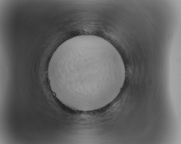 X0000088861009200707061047