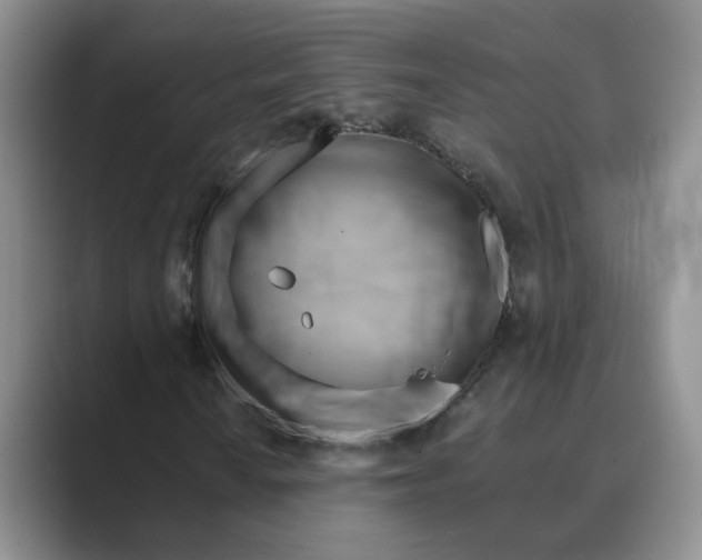 X0000088861010200707061047