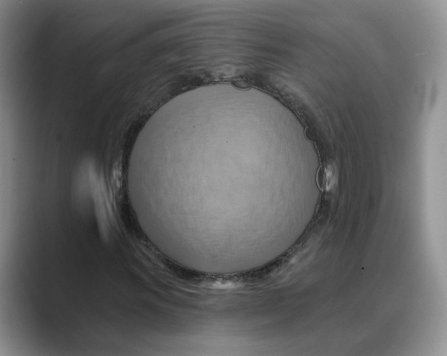 X0000088861011200707061047