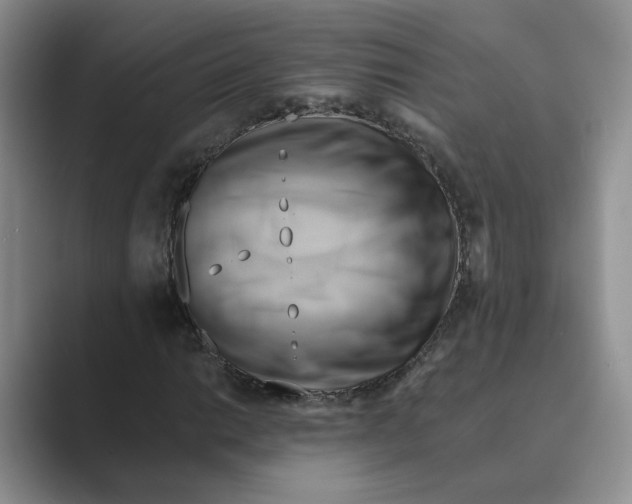 X0000088861014200707061047