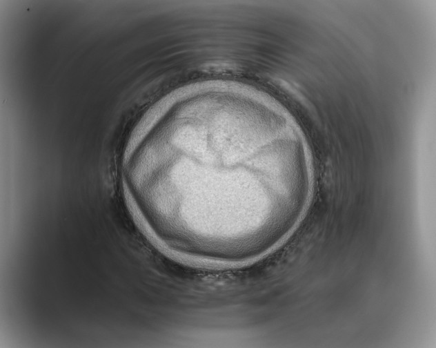 X0000088861015200707061047