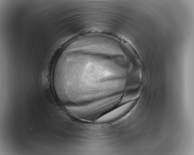 X0000088861018200707061047