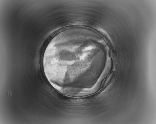 X0000088861019200707061047