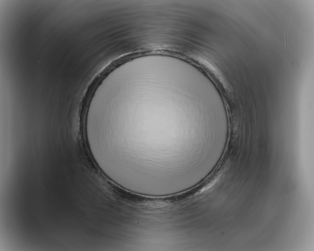 X0000088861023200707061047