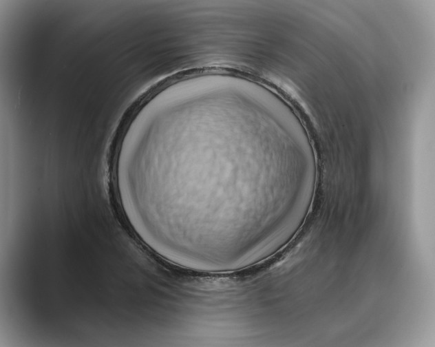 X0000088861024200707061047