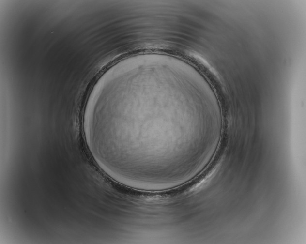 X0000088861025200707061047