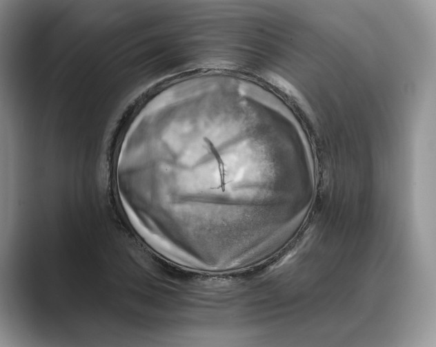 X0000088861027200707061047