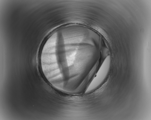 X0000088861028200707061047