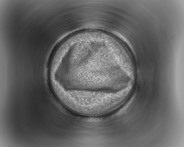 X0000088861029200707061047