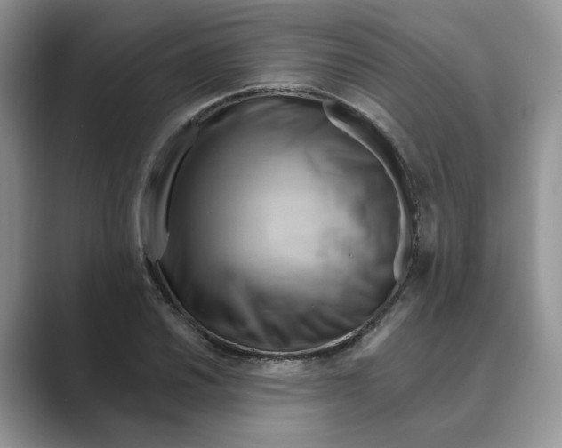 X0000088861030200707061047