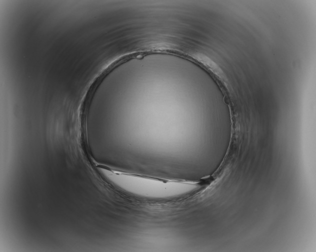 X0000088861031200707061047