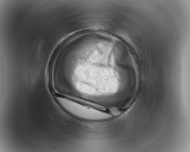 X0000088861032200707061047