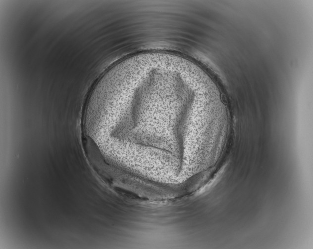 X0000088861033200707061047