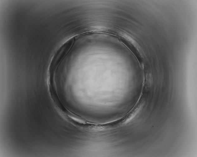 X0000088861034200707061047