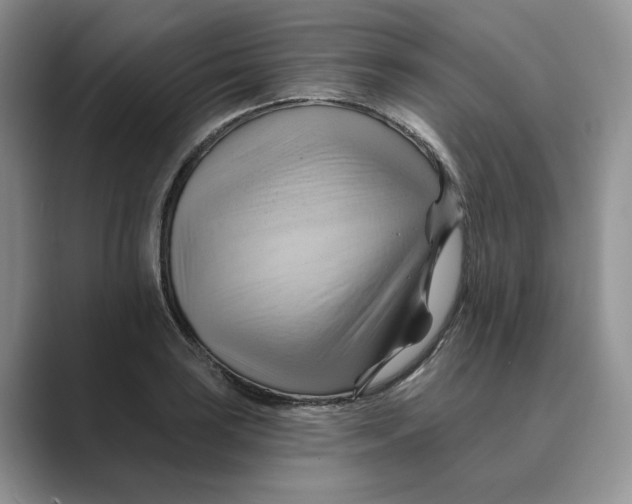 X0000088861035200707061047