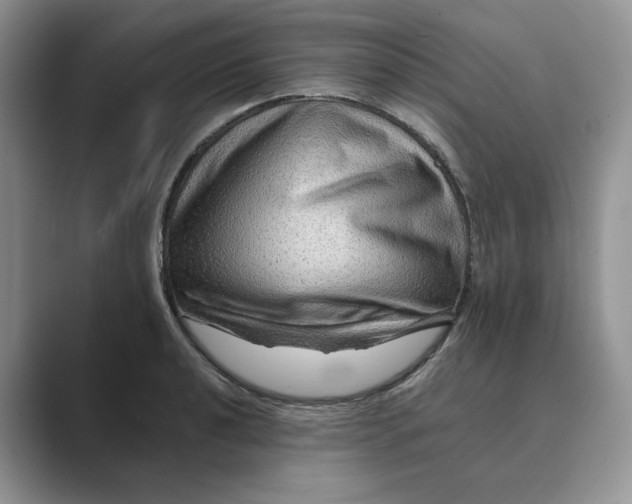 X0000088861040200707061047