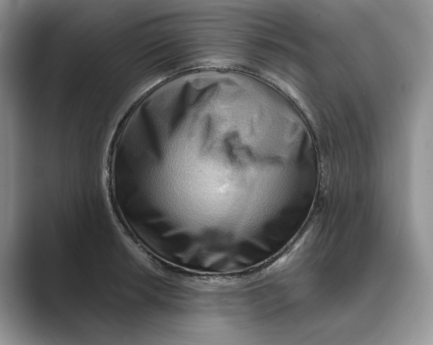 X0000088861042200707061047