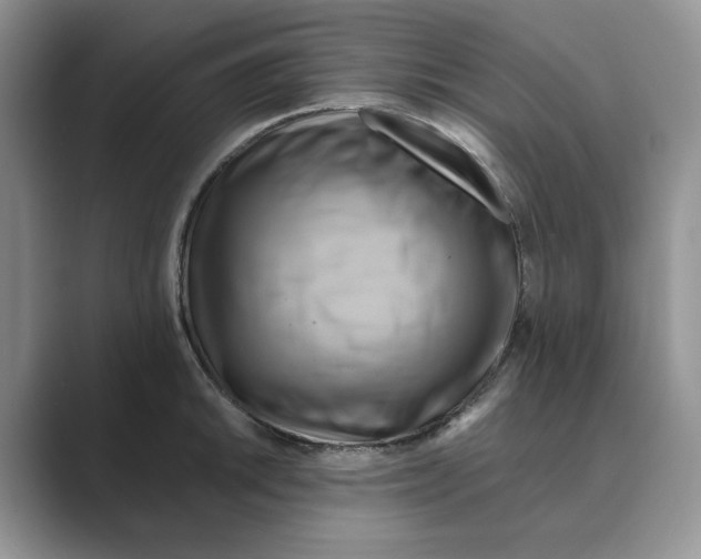 X0000088861046200707061047