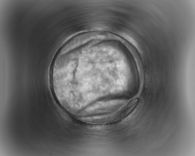 X0000088861047200707061047