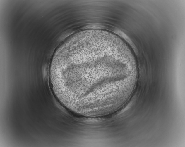 X0000088861049200707061047