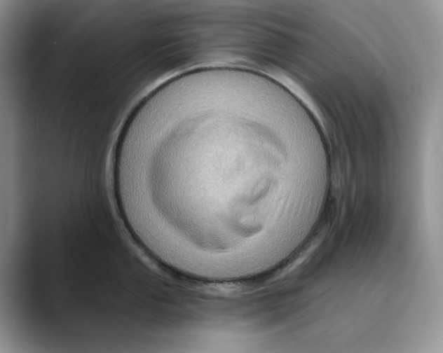 X0000088861053200707061047