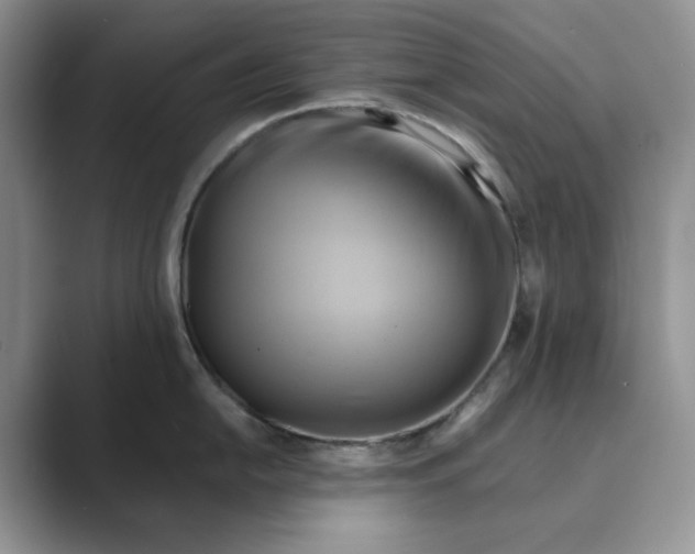 X0000088861054200707061047