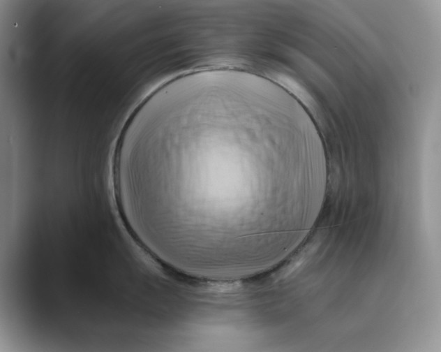 X0000088861055200707061047