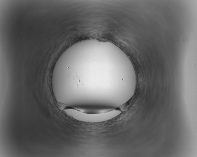 X0000088861057200707061047