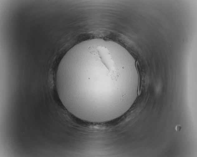 X0000088861058200707061047