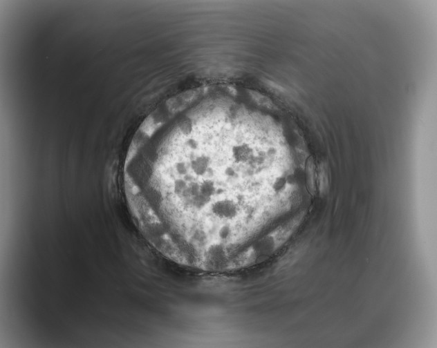 X0000088861059200707061047