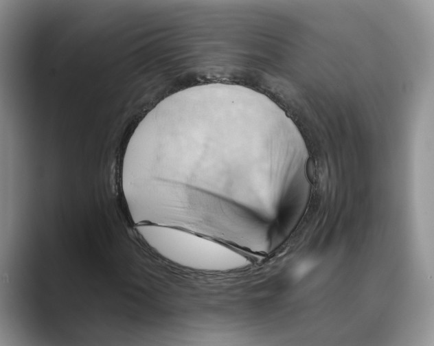 X0000088861060200707061047