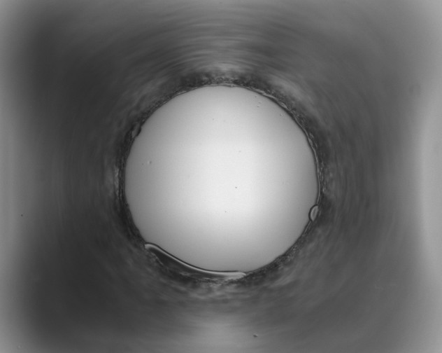 X0000088861061200707061047