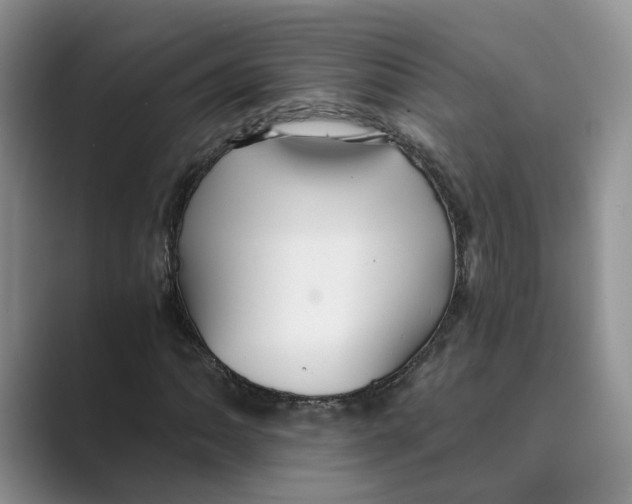 X0000088861062200707061047