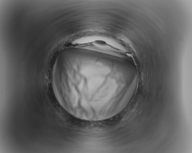 X0000088861064200707061047