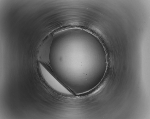 X0000088861065200707061047