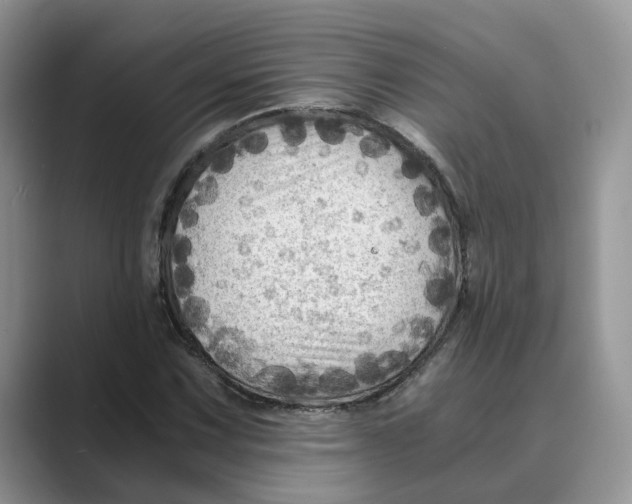 X0000088861067200707061047