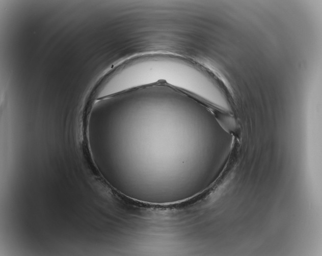 X0000088861069200707061047