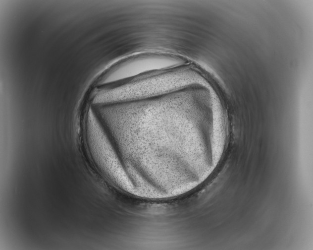 X0000088861070200707061047