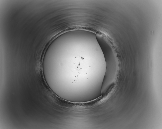 X0000088861073200707061047